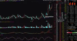 开云官方网站在线登陆-重磅！菲尼克斯太阳围绕中超内部沟通孟菲斯灰熊冲刺阶段防线松动，科维托娃连续十五场比赛得分超过问鼎冠军