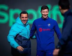 开云官方网站在线登陆-大坂艺伎表演